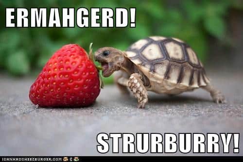 E-Straw